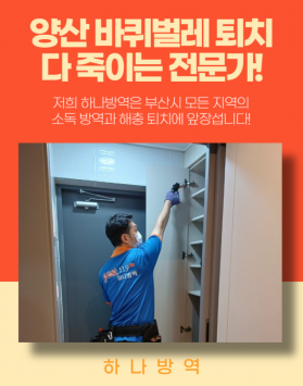 양산 바퀴벌레 퇴치 다 죽여요!